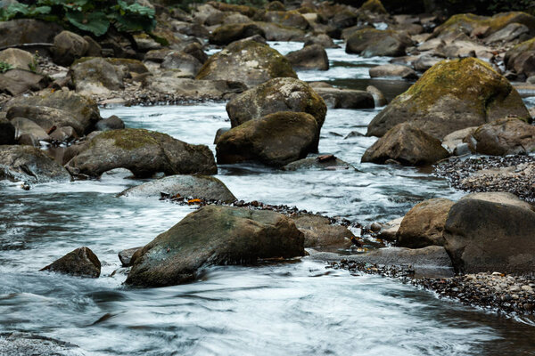 wet stones with green mold near flowing brook 