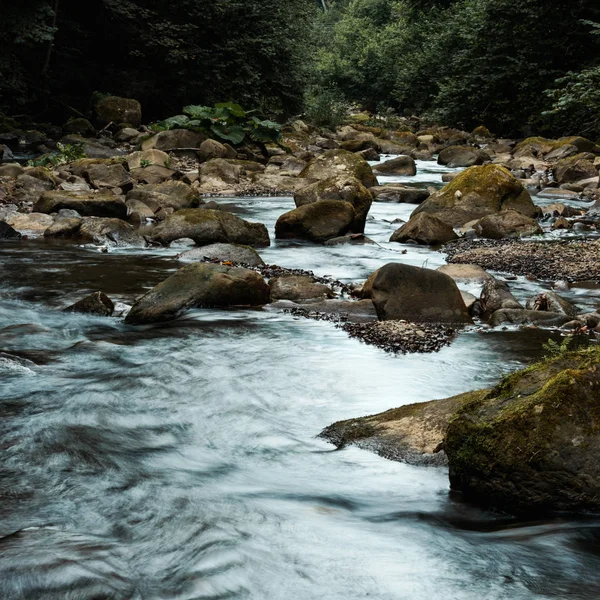 wet stones near flowing brook and green trees 