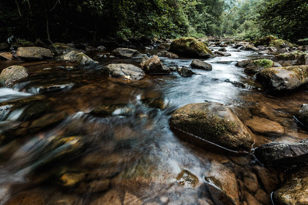 selective focus of flowing stream near wet rocks with green mold 