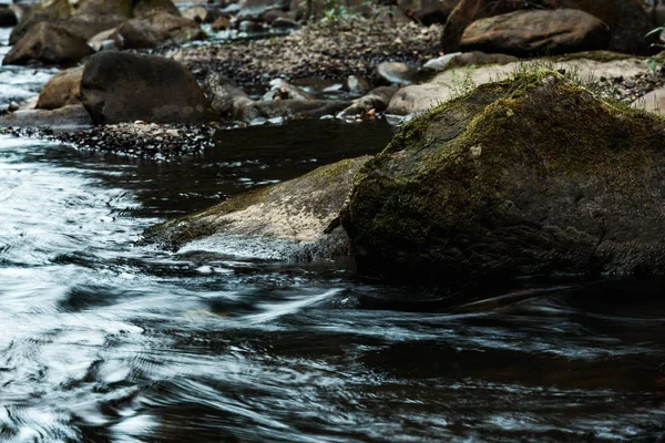 selective focus of rocks with green mold near flowing stream 