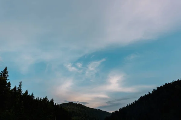 evening sky with clouds near trees in woods 