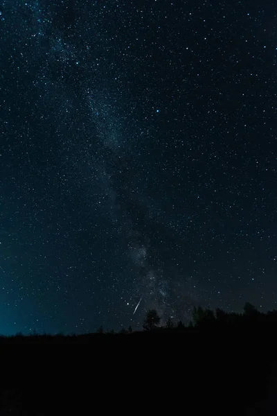 milky way on sky in dark forest at night 