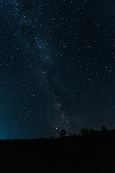 milky way on sky in dark forest at night 