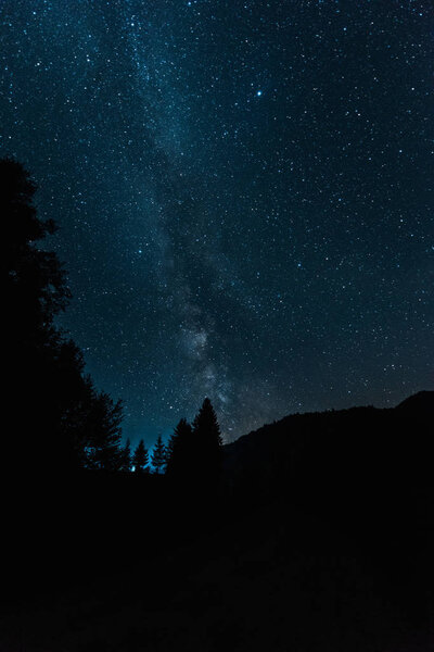 milky way on blue sky in woods at night 