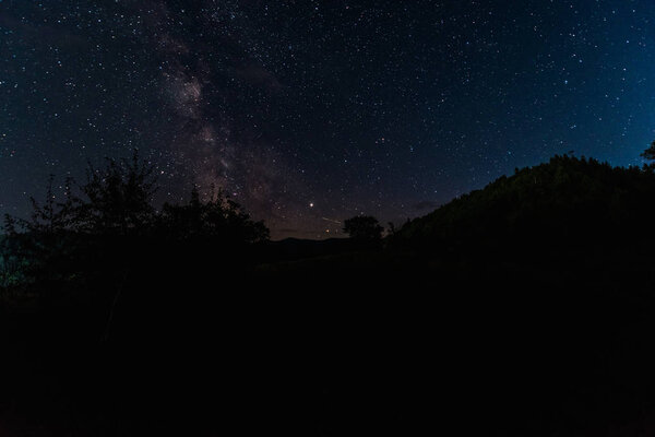 Ночное небо со звездами светит в лесу ночью
 