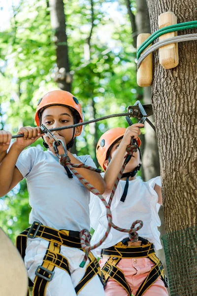 Niedliche Multikulturelle Kinder Helmen Berühren Höhenausrüstung Draußen — Stockfoto