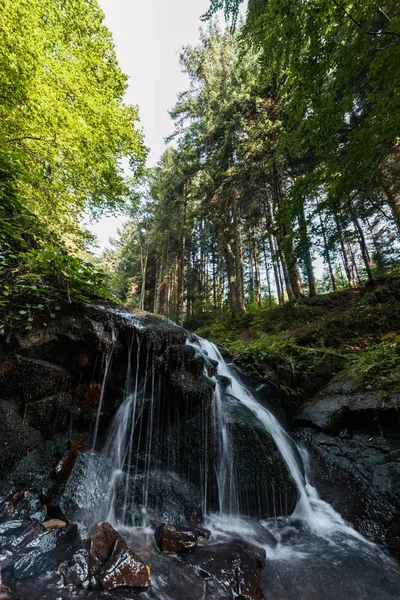 Water falling on wet stones in woods — Stock Image Water Falling Wet Stones Woods Stock Photo