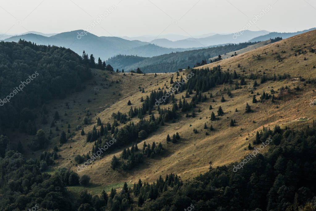 HayDmitriy