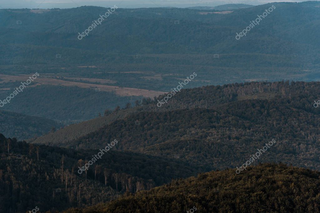 HayDmitriy