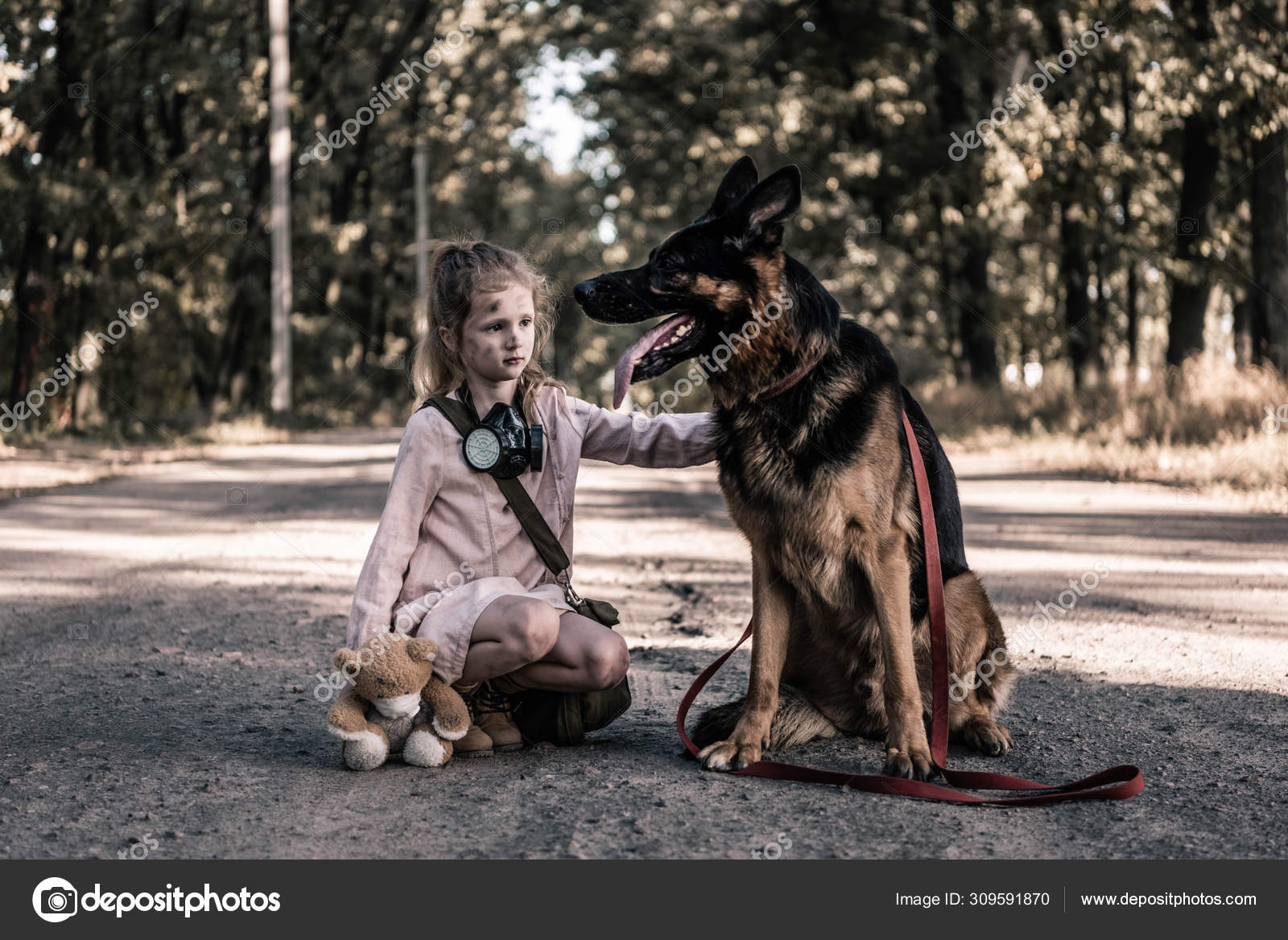 teddy bear german shepherd