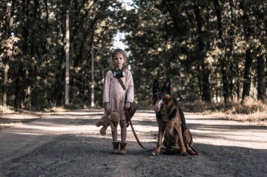 üzgün çocuk yolda oyuncak ayı ve Alman çoban köpeğiyle dikiliyor, kıyamet sonrası konsepti