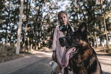 Alman çoban köpeğinin seçici odağı oyuncak ayıyla çocuğun yanında, kıyamet sonrası konsepti.