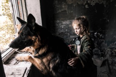 Terk edilmiş binada Alman çoban köpeğine dokunan çocuğun seçici odak noktası kıyamet sonrası konsepti.