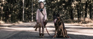 Çocuk, oyuncak ayı ve Alman çoban köpeğiyle yolda dikilirken çekilen panoramik bir fotoğraf.
