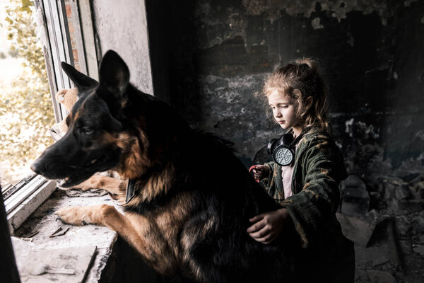 selective focus of kid touching german shepherd dog in abandoned building, post apocalyptic concept