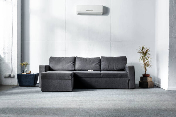 grey sofa near green plants in modern living room 