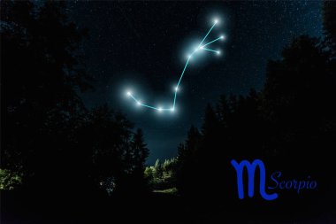 Gece yıldızlı gökyüzü ve Akrep takımyıldızlı karanlık bir yer.