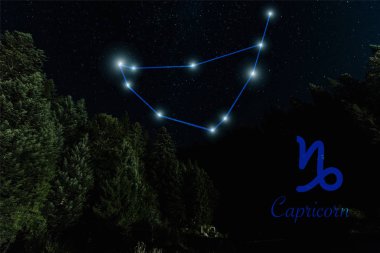 dark landscape with night starry sky and Capricorn constellation clipart