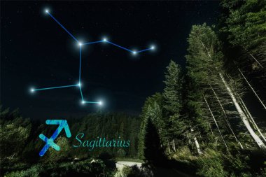 Ağaçlı karanlık manzara, gece yıldızlı gökyüzü ve Yay takımyıldızı