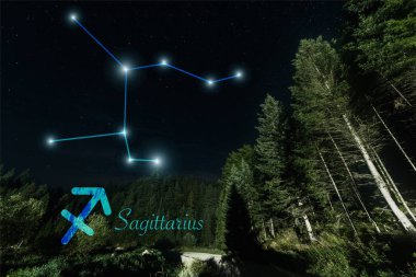 dark landscape with trees, night starry sky and Sagittarius constellation clipart