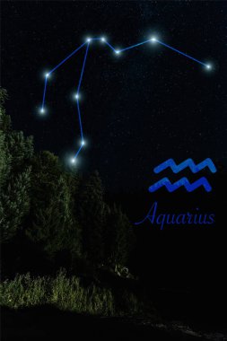 dark landscape with night starry sky and Aquarius constellation clipart