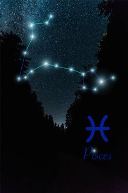 dark landscape with night starry sky and Pisces constellation clipart
