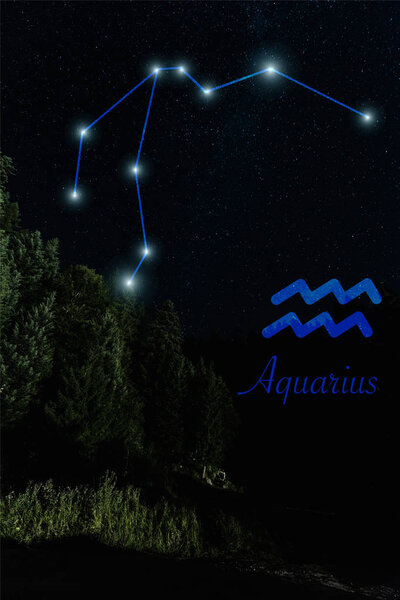 dark landscape with night starry sky and Aquarius constellation