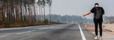 Yeşil ağaçların yanındaki yolda otostop çeken bir adamın panoramik görüntüsü. 