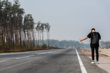 Yeşil ağaçların yanındaki boş yolda otostop çekerken sırt çantalı bir adamın arkadan görünüşü 