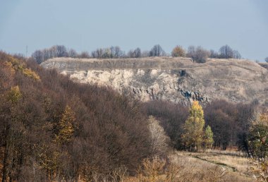 Ormandaki ağaçlar mavi gökyüzüne karşı kayaların yanında 