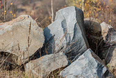 sunlight on stones near plants on ground  clipart