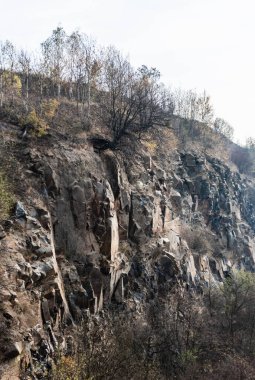 Kayalık tepede gökyüzüne karşı yeşil ağaçlar 