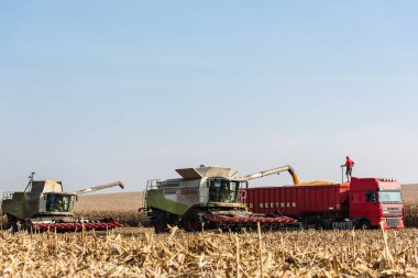 LVIV, UKRAINE - 23 Ekim 2019: traktörlerdeki çiftçiler mavi gökyüzüne karşı buğday hasat ediyorlar 