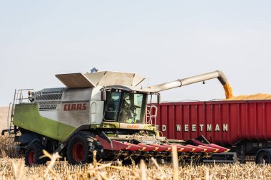 LVIV, UKRAINE - 23 Ekim 2019: Mavi gökyüzüne karşı buğday hasat eden Claas harfleriyle traktördeki çiftçi 