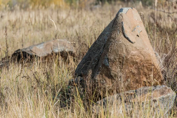 Selective Focus Stones Grassy Field — Stock Photo, Image