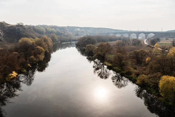 Eau Dans Rivière Près Des Arbres Dans Forêt Verte Près — Photo