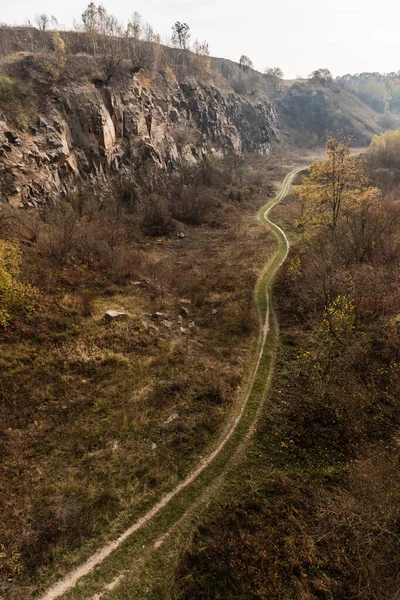 walkway near green grass, trees and stones