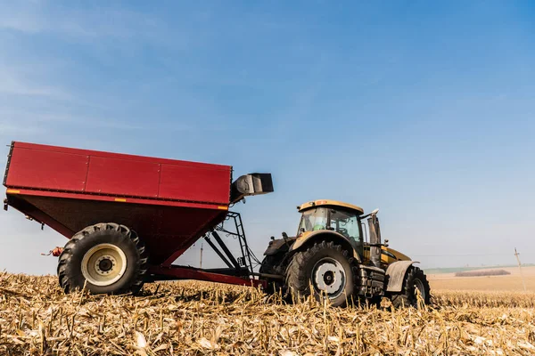 Traktor Gyllene Fält Mot Blå Himmel — Stockfoto