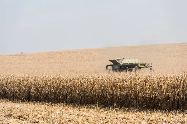 Поле Золотой Пшеницы Трактор Против Неба — стоковое фото