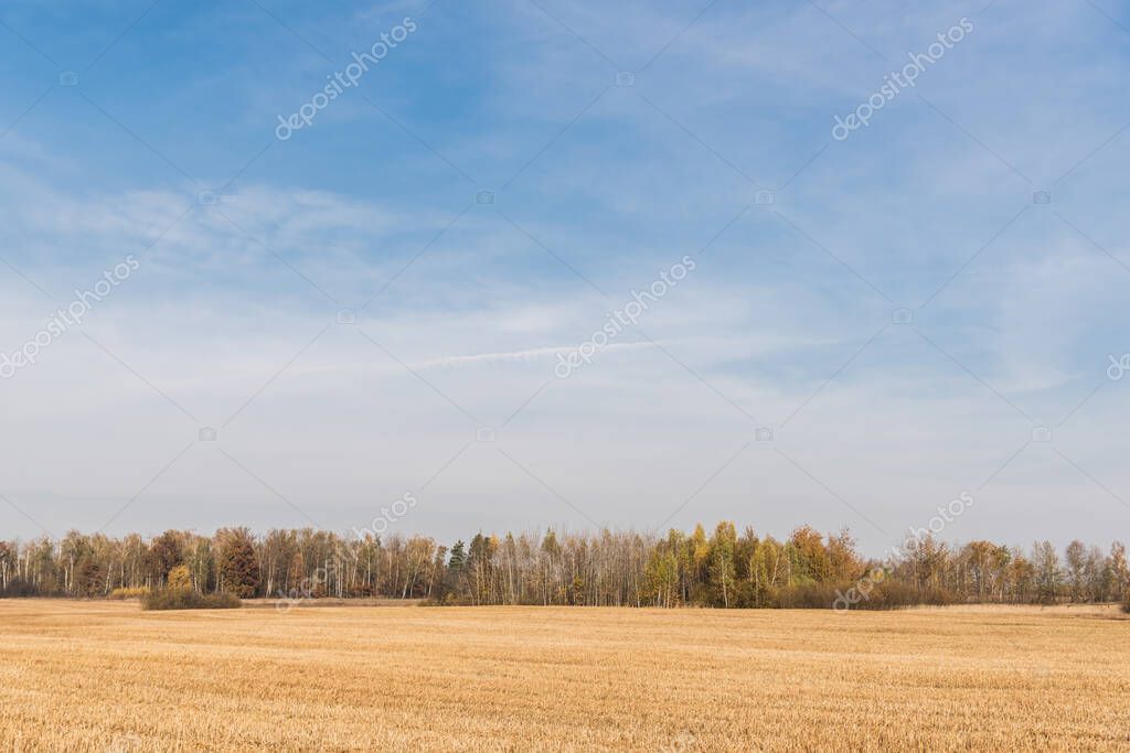 HayDmitriy