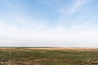 Bulutlu mavi gökyüzüne karşı çimenli çimenler