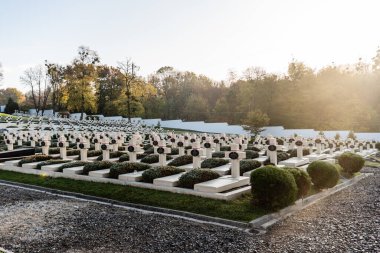 LVIV, UKRAINE - 23 Ekim 2019: Mezarlıkta haçlı güneş ışığı ve lviv defans mezarlığındaki yeşil ağaçların yanında harfler 