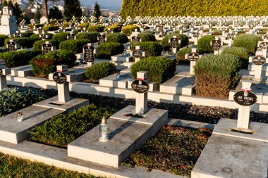 LVIV, UKRAINE - OCTOBER 23, 2019: sunlight on graves with crosses and lettering near green plants on lviv defenders cemetery 