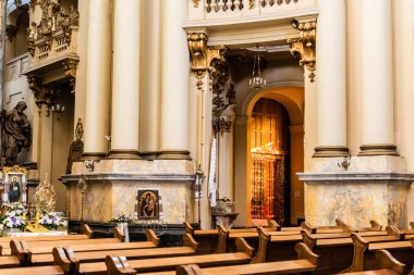 LVIV, UKRAINE - 23 Ekim 2019: Tahta bankları ve yaldızlı sütunları olan Dominik kilisesinin içi