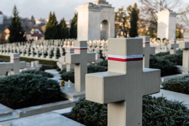 LVIV, UKRAINE - 23 Ekim 2019: lviv, Ukrayna 'daki Lychakiv mezarlığındaki polonyalı mezarların ve taş haçların seçici odağı
