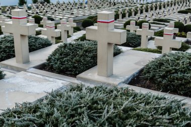 LVIV, UKRAINE - OCTOBER 23, 2019: graves and stone crosses with ribbons symbolizing polish flag in lychakiv cemetery in lviv, ukraine clipart