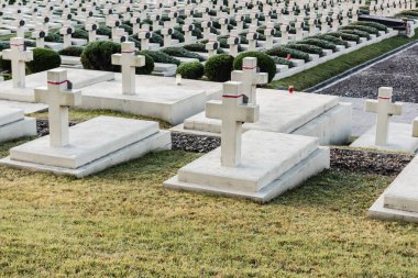 LVIV, UKRAINE - OCTOBER 23, 2019: polish graves and stone crosses in lychakiv cemetery in lviv, ukraine