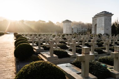 LVIV, UKRAINE - OCTOBER 23, 2019: polish graves with stones crosses near green plants in lychakiv cemetery in lviv, ukraine clipart