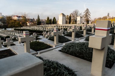 LVIV, UKRAINE - 23 Ekim 2019: Lviv, Ukrayna 'daki Lychakiv mezarlığında taş haçlı mezarları parlat