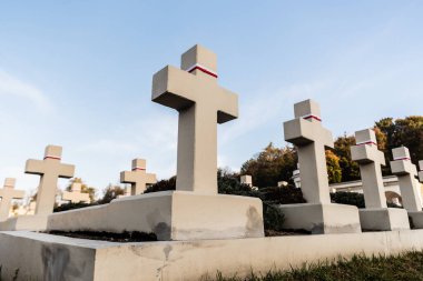 LVIV, UKRAINE - 23 Ekim 2019: lviv, Ukrayna 'daki Lychakiv mezarlığındaki Polonyalı mezarlar üzerindeki taş haçların alçak açılı görüntüsü
